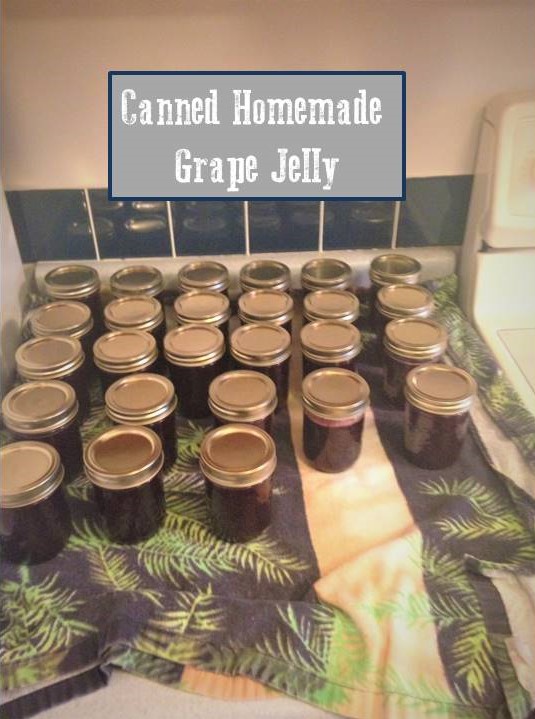 Canned Grape Jelly Pic