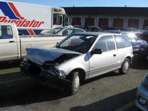 Carries Pictures 501_LI