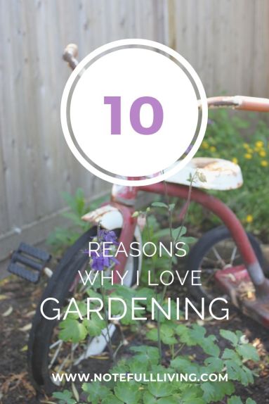 10 REASONS I LOVE GARDENING