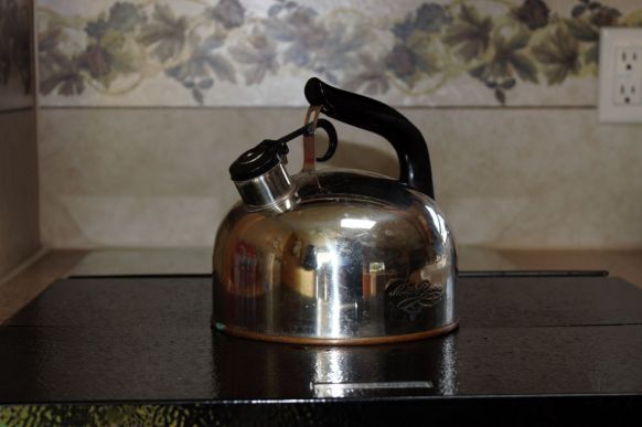 IMG_9263 Kettle