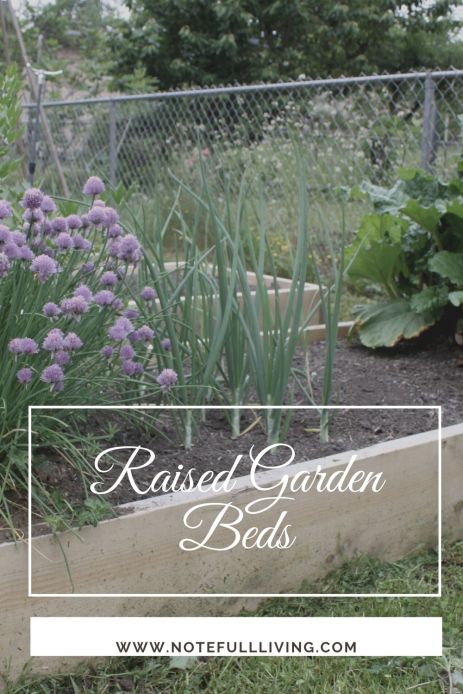 Raised Garden Beds