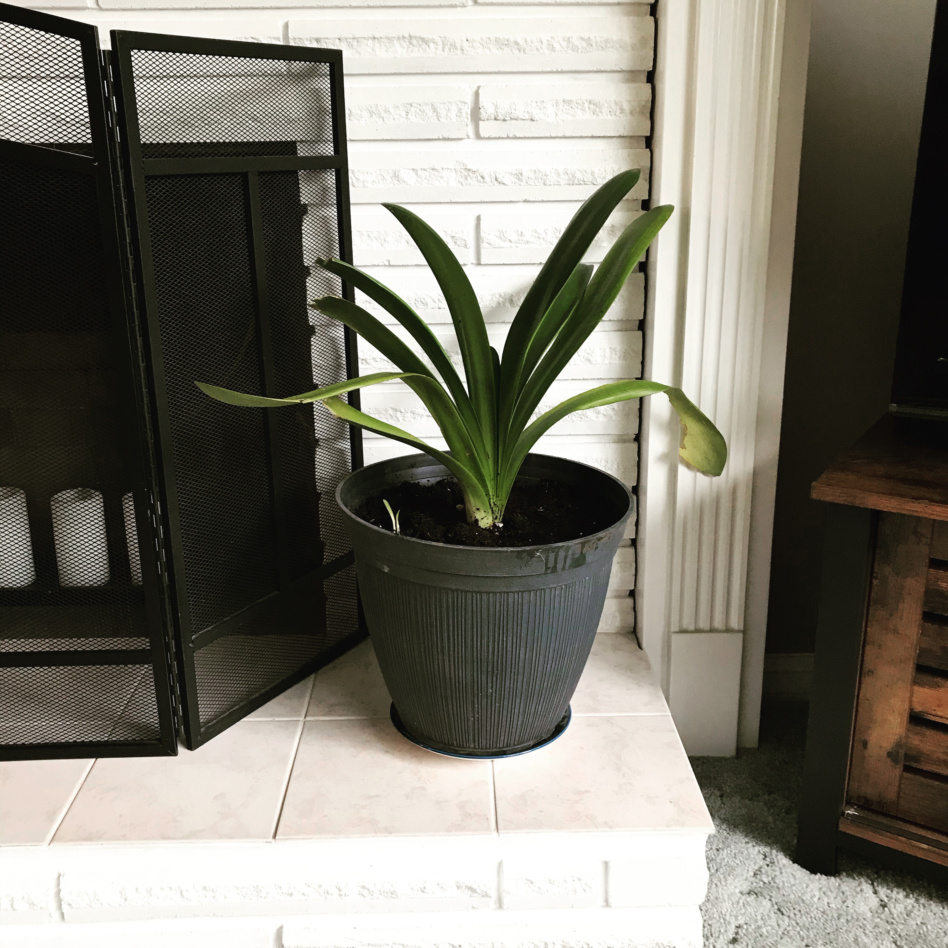 13BC789B-E7D4-4B9A-ADD4-2DB7F42E9078