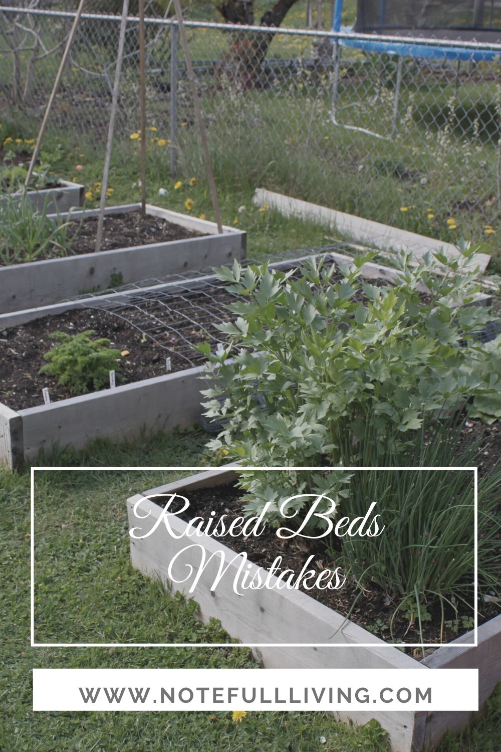 Rasied Beds Mistakes UPDATED